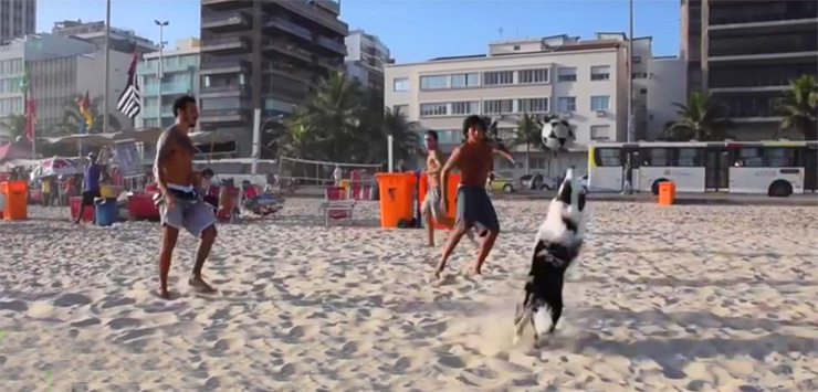Бразильская собака играет в футбол на пляже