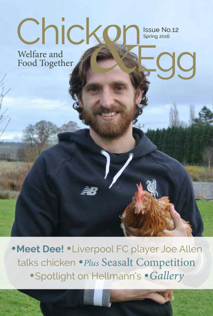 Джо Аллен, журнал про кур и яйца, Chicken and Egg 