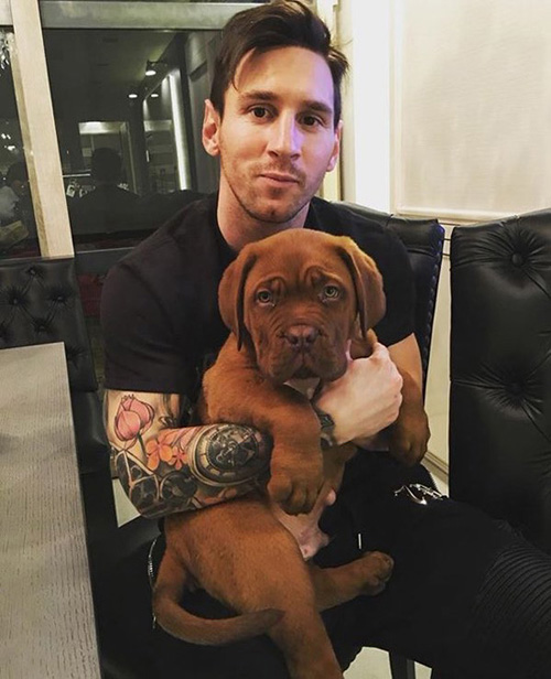 Messi dog Hulk, photo