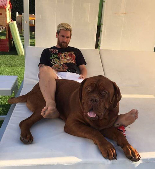 Месси и его собака-гигант