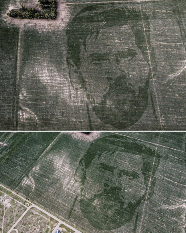 Кукурузное поле с лицом Месси