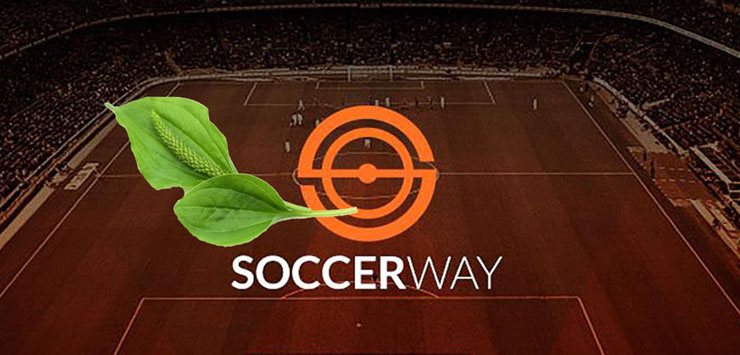 Чем заменить Соккервей | soccerway замена